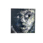 Stare Painting